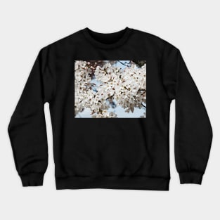 Somerset Sakura Crewneck Sweatshirt